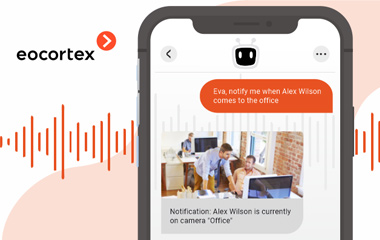 Eva Voice Assistant. Video surveillance without watching