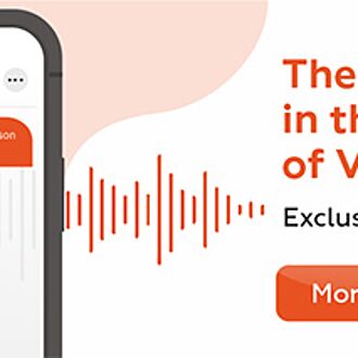 Eva Voice Assistant. Video surveillance without watching